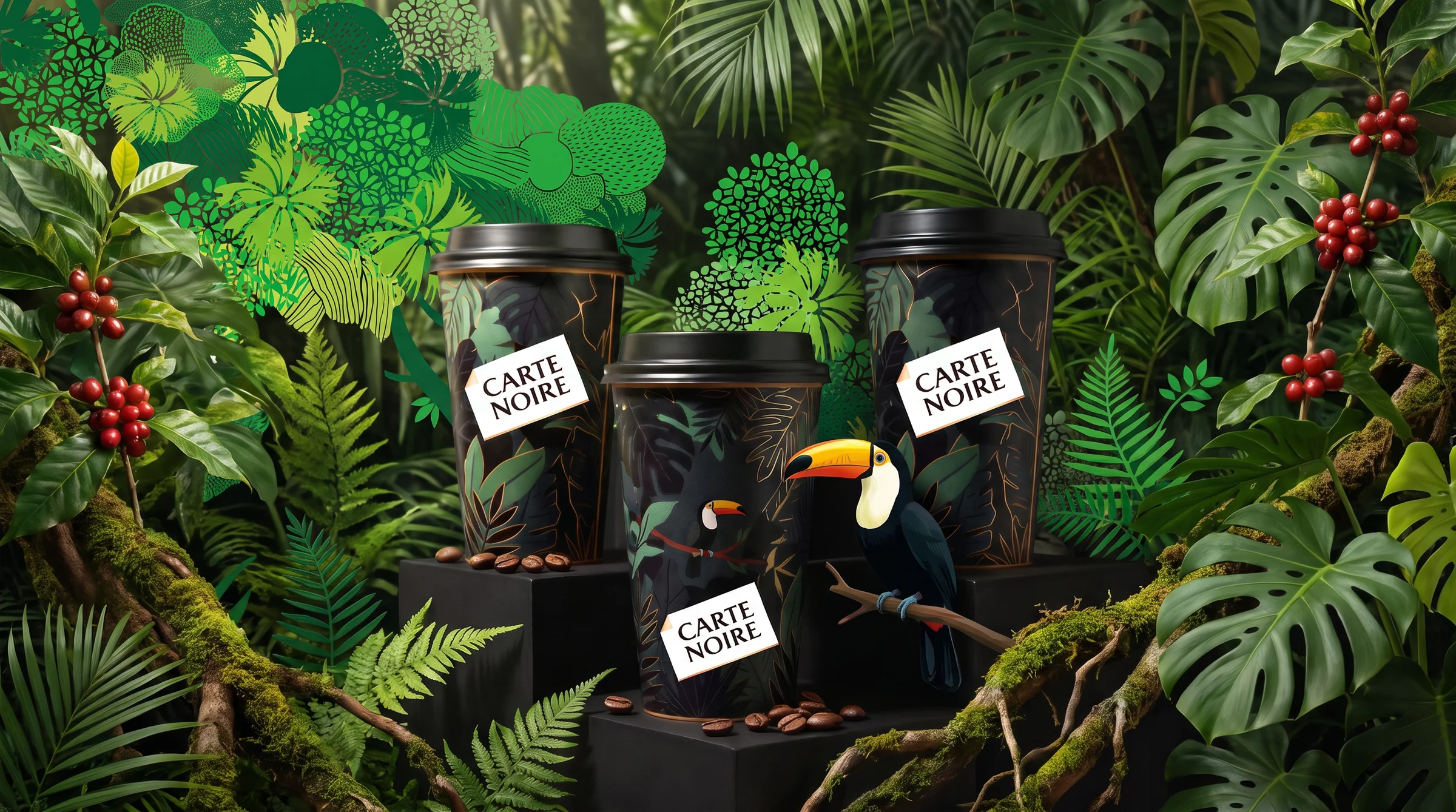 carte noire — gallery visual 06
